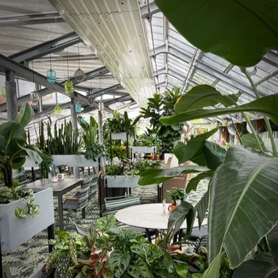 Gartencenter Seebauer/ Galerie Café