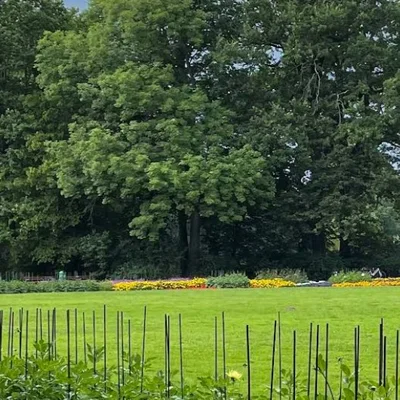 Botanischer Garten | Treffpunkt: Stadtwerke Bielefeld Ladestation