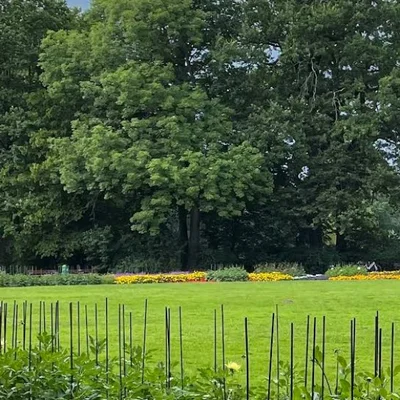 Botanischer Garten | Treffpunkt: Biergarten Kastaniengarten