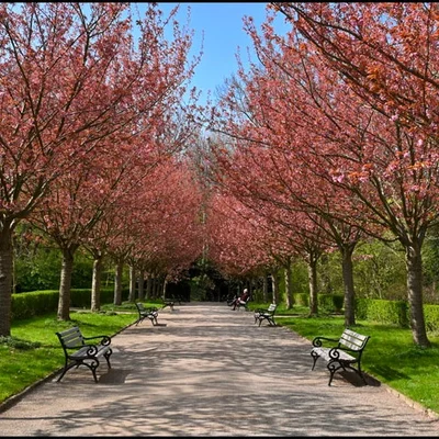 Rombergpark | Treffpunkt: Zoo Dortmund